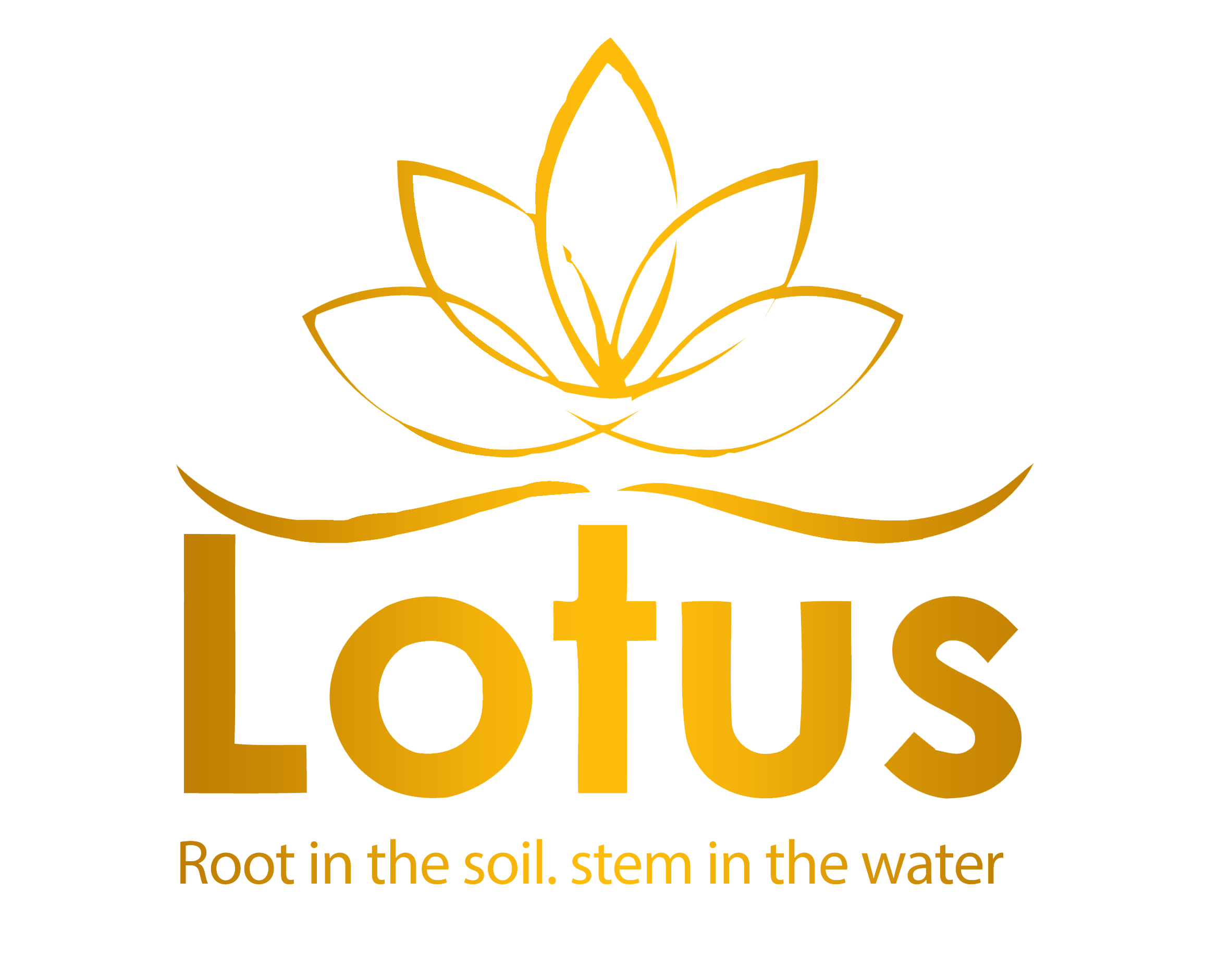 هلدینگ ایتوک